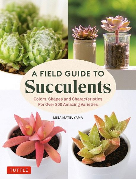 A Field Guide to Succulents | Misa Matsuyama - 교보문고