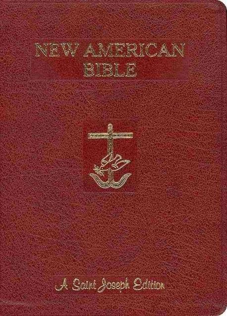 New American Bible : St Joseph Edition Burgundy Imitation Leather | Not ...
