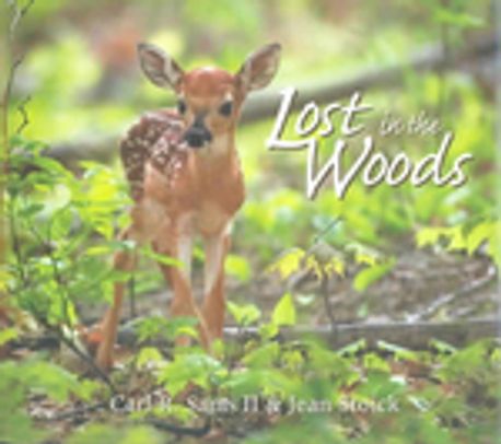 Lost In The Woods : A Photographic Fantasy | Sams, Carl R./ Sams, Carl ...