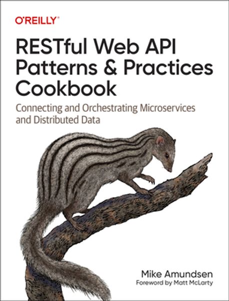 Restful Web API Patterns and Practices Cookbook | Mike Amundsen - 교보문고