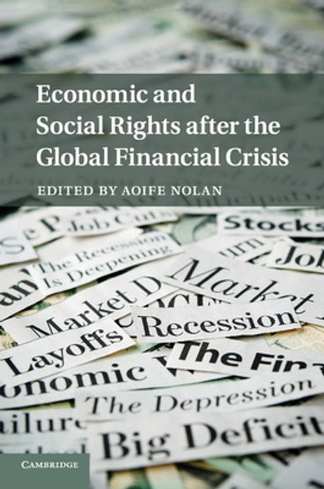 Economic and Social Rights After the Global Financial Crisis | Nolan ...