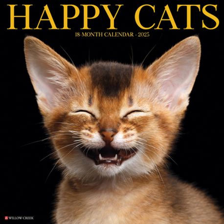 Buy Cat In A Box 2025 12 X 12 Wall Calendar Book Online At Low Prices