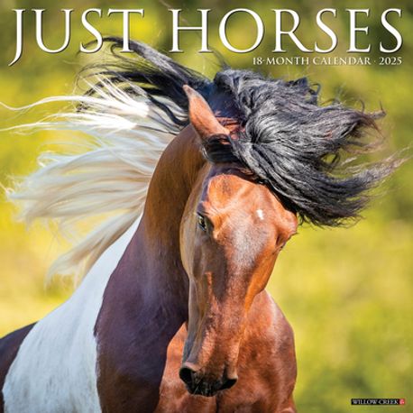 thumbnail image 2 of Rooster Calendar 2025 Horses 2026 Mini Wall Calendar Advent Calendar Dinosaurs 2 of 10
