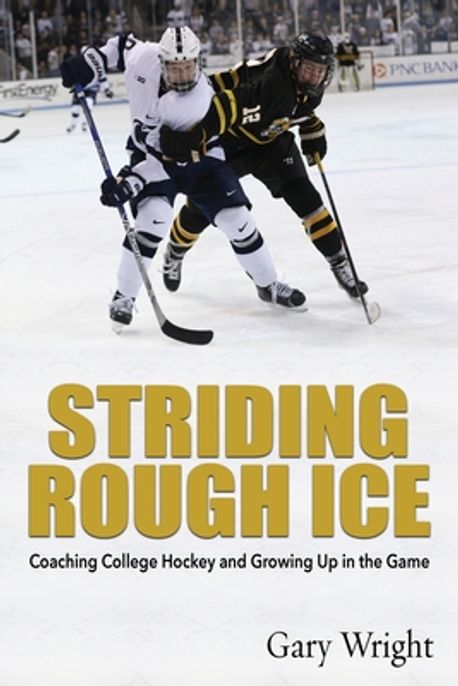 Striding Rough Ice | Wright, Gary - 교보문고