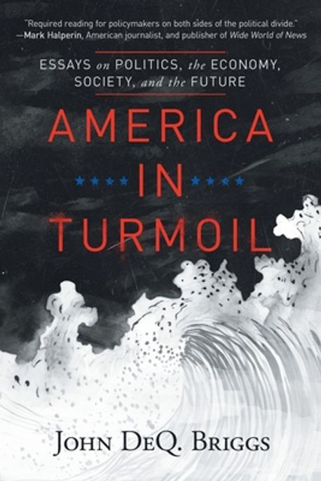 America in Turmoil | Briggs, John Deq - 교보문고
