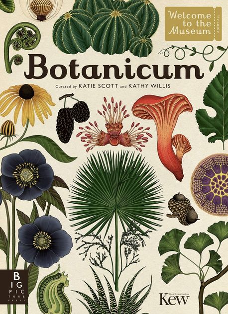 Botanicum | Willis, Kathy - 교보문고
