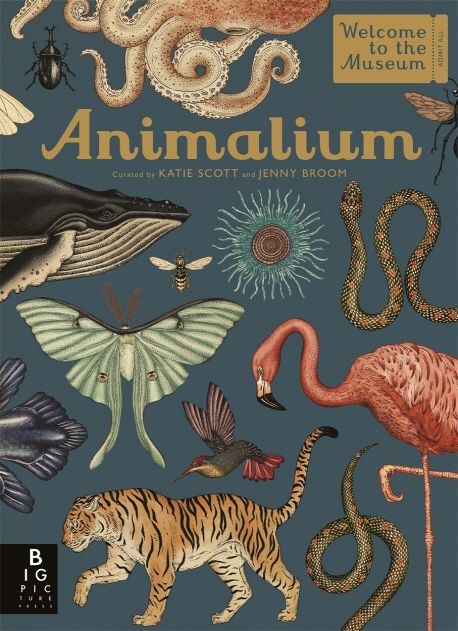Animalium: Welcome to the Museum, Beautiful Large Format Book, Ages 8-adult main image 0