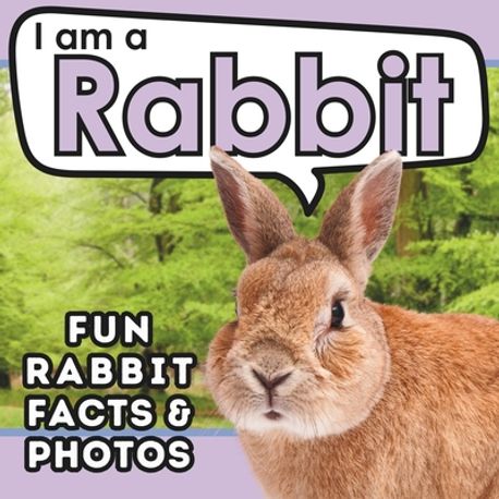 I am a Rabbit | Brains, Active - 교보문고