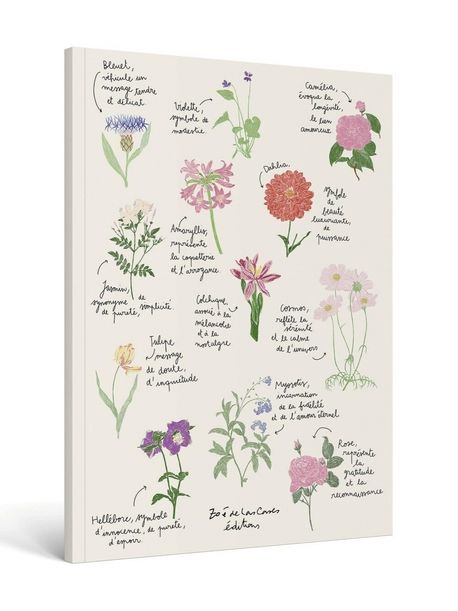 Carnet Fleurs A4 - Zoé de Las Cases