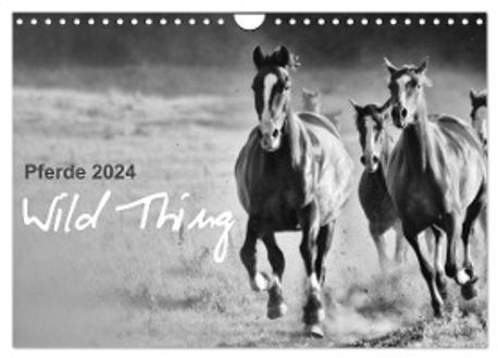 Pferdegeflüster - Der Pferdekalender - 2024 - Kalender DIN A3 - View #8