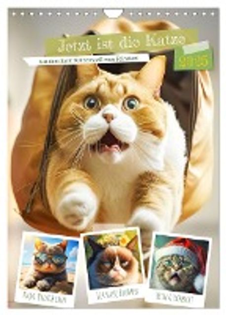 Jetzt ist die Katze aus dem Sack! Katzenspass vom Feinsten