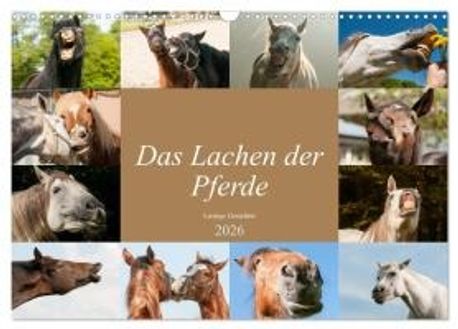 das-lachen-der-pferde-lustige-gesichter-wandkalender-2026-din-a3