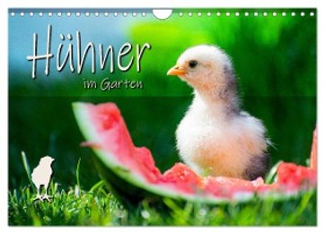 Jahreskalender 2024 - Around The World Edition – DER TOMATENFLÜSTERER