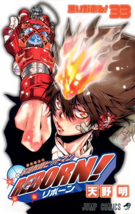 FAIRY TAIL✖️ 家庭教師(かてきょー)ヒットマンreborn!合計73巻 家庭敎師(かてきょ-)ヒットマンREBORN! 33 | 天野 明 - 교보문고