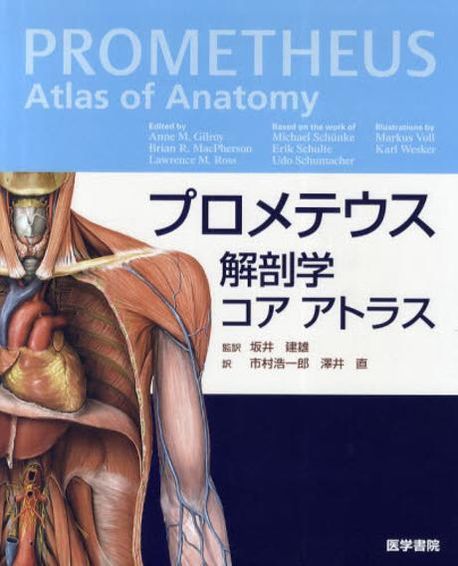 本格派ま！ プロメテウス解剖学 コア アトラス 第2版 | 書籍詳細