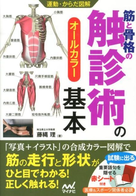 筋と骨格の觸診術の基本 オ-ルカラ- | 藤繩理／著 - 교보문고