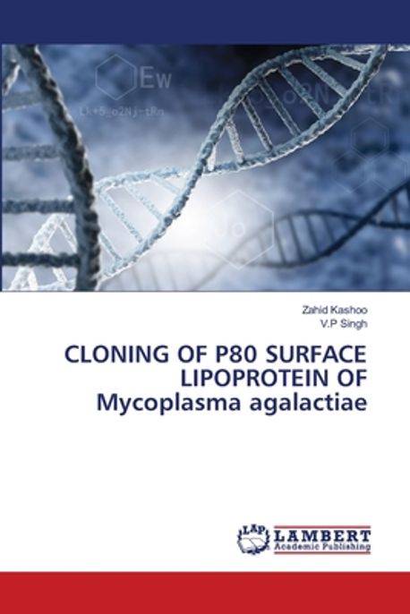 CLONING OF P80 SURFACE LIPOPROTEIN OF Mycoplasma agalactiae | Kashoo ...