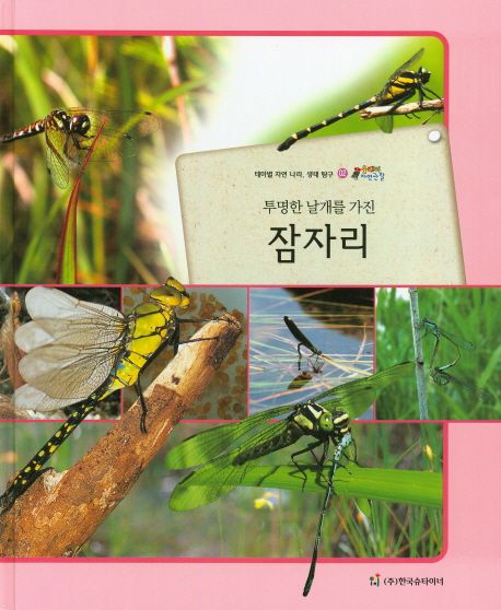 잠자리 | 예종화 - 교보문고