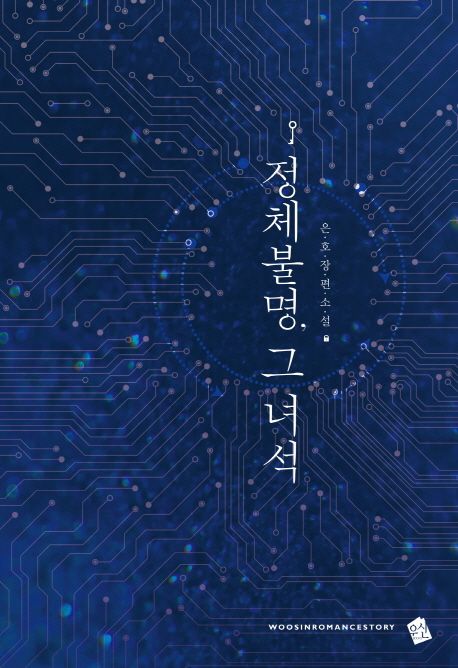 정체불명