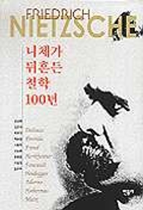 니체가 뒤흔든 철학 100년