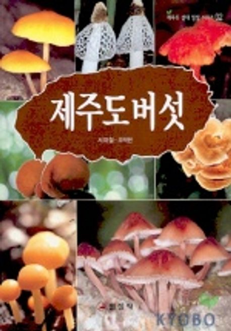 제주도 버섯