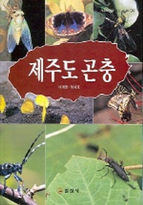 제주도 곤충
