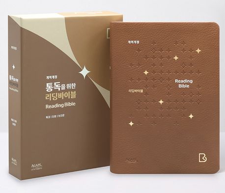 리딩바이블(특대/단본)-브라운