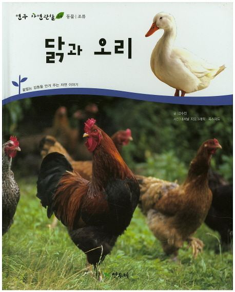 모두닭오리 사진