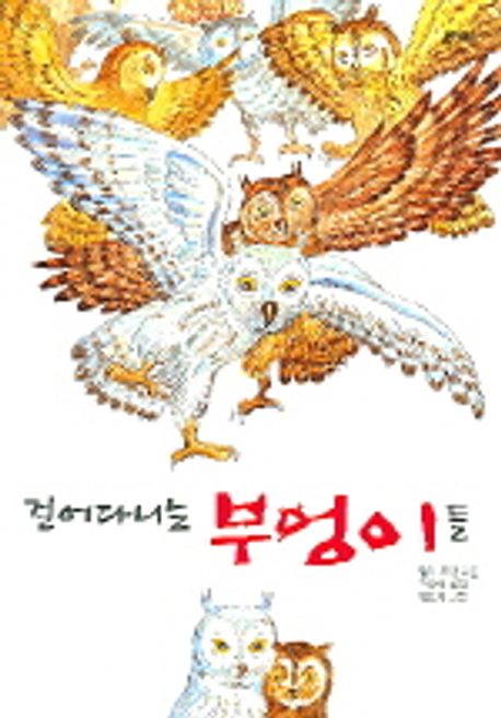 부엉이들