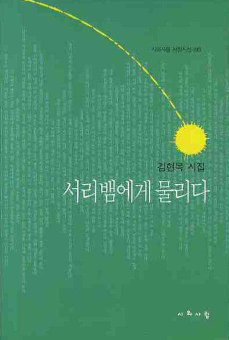 서리뱀에게 물리다 | 김현옥 - 교보문고