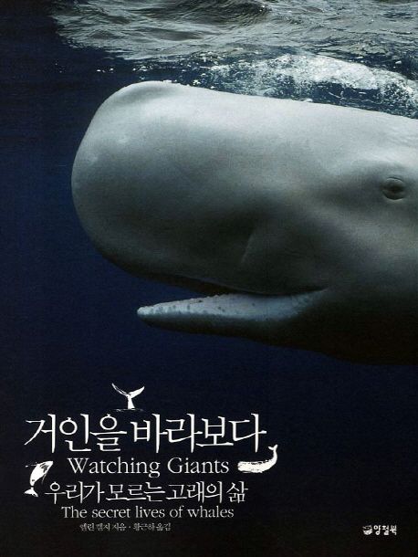 거인을 바라보다