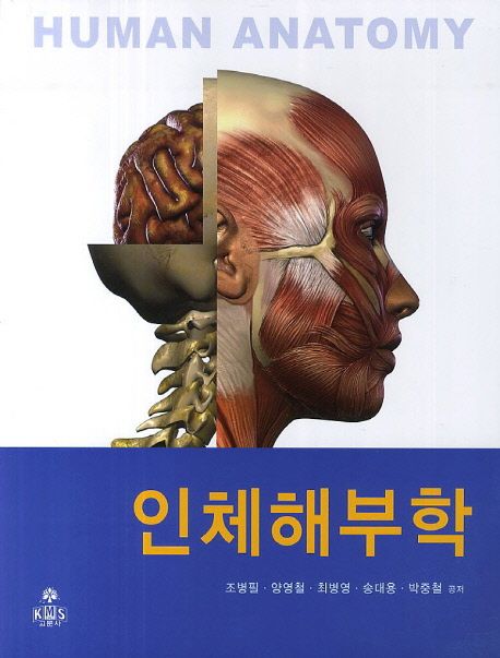 인체해부학 | 조병필 - 교보문고