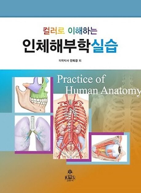 컬러로 이해하는 인체해부학실습 | 안희경 외 - 교보문고