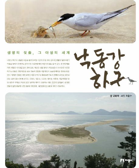 낙동강 하구