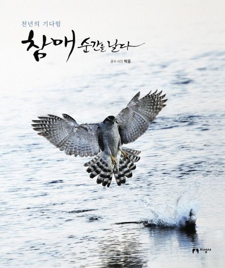 (천년의 기다림)참매 순간을 날다
