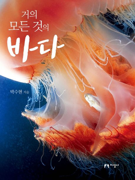 (거의 모든 것의)바다