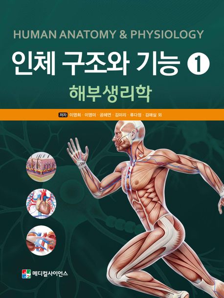 인체 구조와 기능 1 | 이영희 - 교보문고
