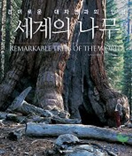 세계의 나무