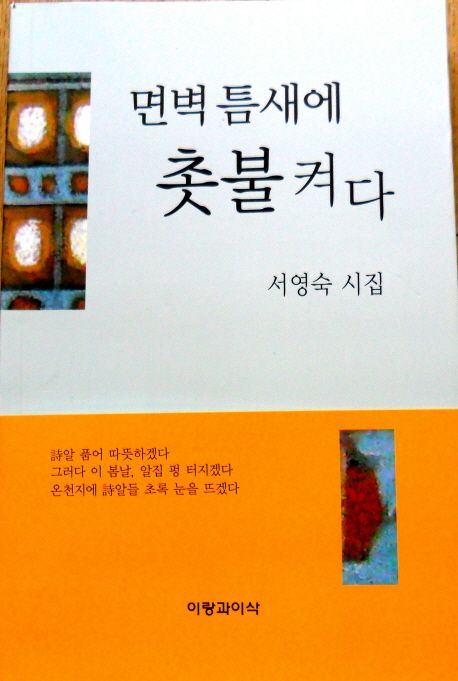 면벽 틈새에 촛불을 켜다 | 서영숙 - 교보문고