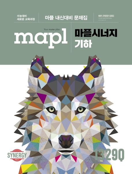 마플시너지 기하(2025) 표지