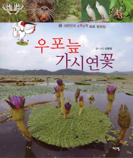 우포늪 가시 연꽃