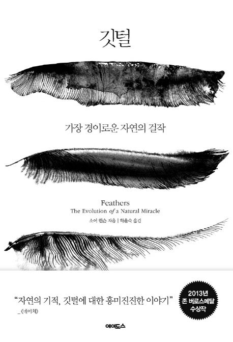 깃털 | 소어 핸슨 - 교보문고