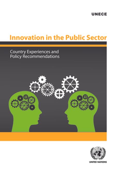 Innovation in the Public Sector | United Nations Publications - 교보문고