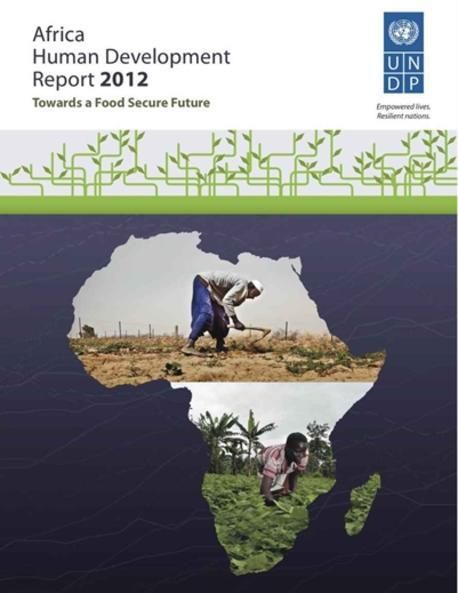 African Development Review Africa Human Development Report 2012 | THE STATIONERY OFFICE BOOKS - 교보문고