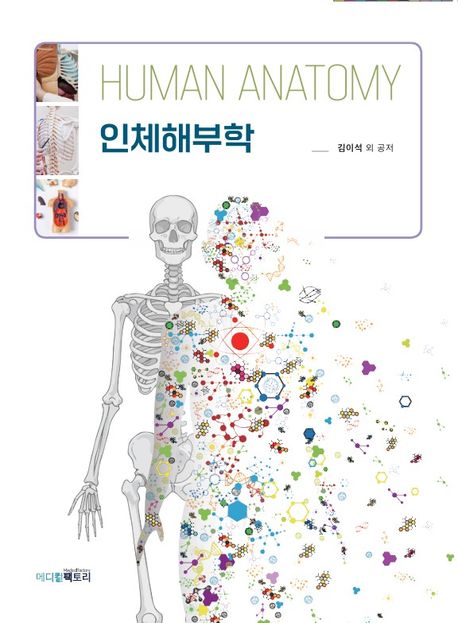 인체해부학 - 교보문고