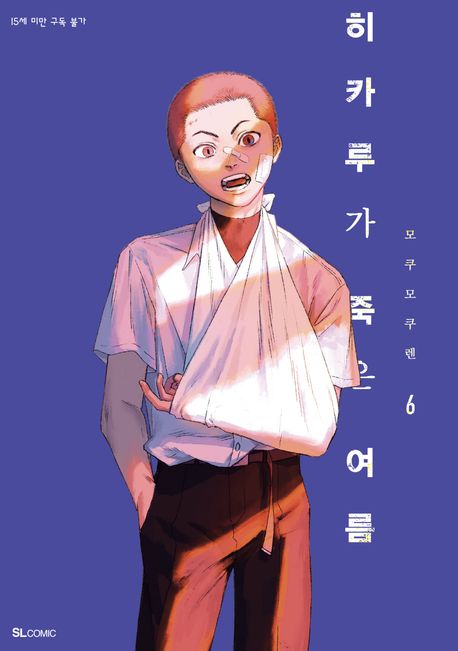 히카루가 죽은 여름 6(특별판)