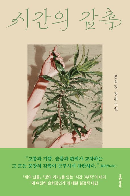 시간의감촉