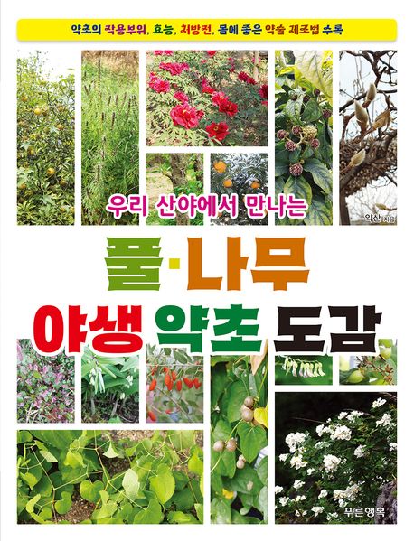 우리 산야에서 만나는 풀·나무 야생 약초 도감 대표 이미지