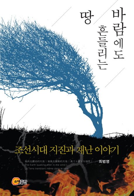바람에도 흔들리는 땅