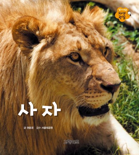 사자 | 권윤경 - 교보문고